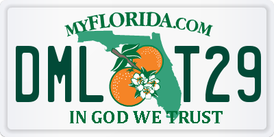 FL license plate DMLT29