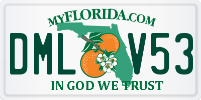 FL license plate DMLV53