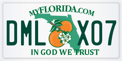 FL license plate DMLX07