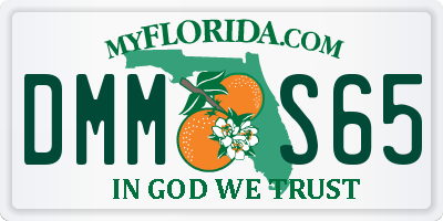 FL license plate DMMS65