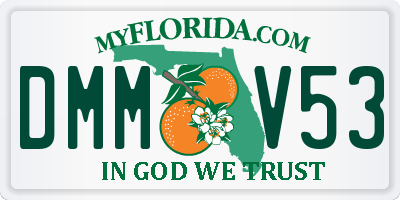 FL license plate DMMV53