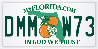 FL license plate DMMW73