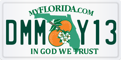 FL license plate DMMY13