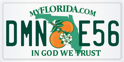 FL license plate DMNE56