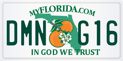 FL license plate DMNG16