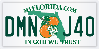 FL license plate DMNJ40