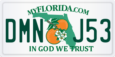FL license plate DMNJ53