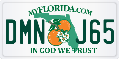 FL license plate DMNJ65