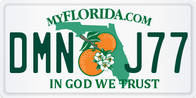 FL license plate DMNJ77