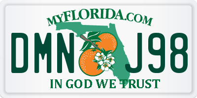 FL license plate DMNJ98