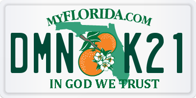FL license plate DMNK21