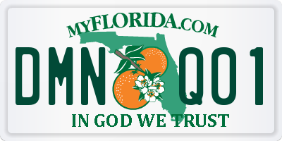 FL license plate DMNQ01