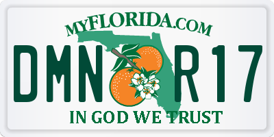 FL license plate DMNR17