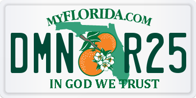 FL license plate DMNR25