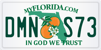 FL license plate DMNS73