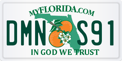 FL license plate DMNS91