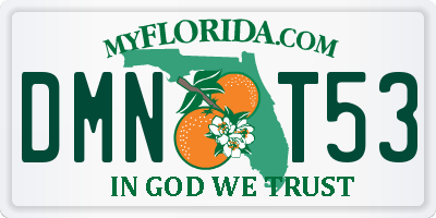 FL license plate DMNT53