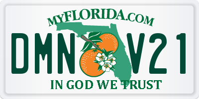 FL license plate DMNV21