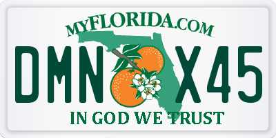 FL license plate DMNX45