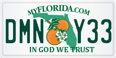 FL license plate DMNY33