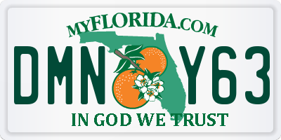 FL license plate DMNY63