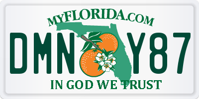 FL license plate DMNY87