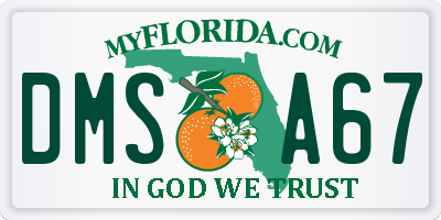 FL license plate DMSA67