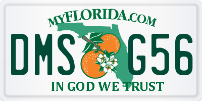 FL license plate DMSG56
