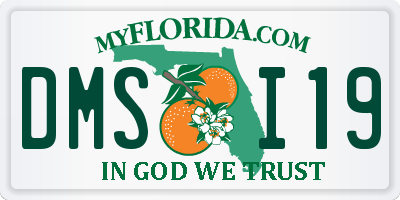 FL license plate DMSI19