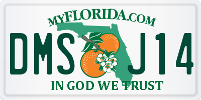 FL license plate DMSJ14