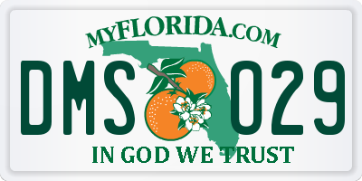 FL license plate DMSO29