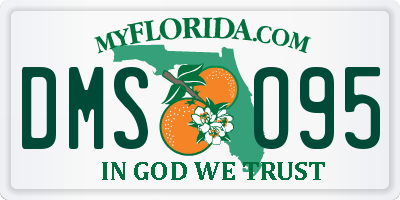 FL license plate DMSO95