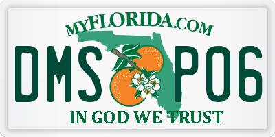 FL license plate DMSP06