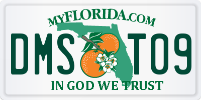 FL license plate DMST09