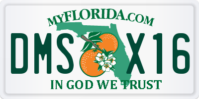 FL license plate DMSX16