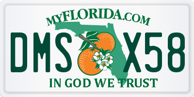 FL license plate DMSX58