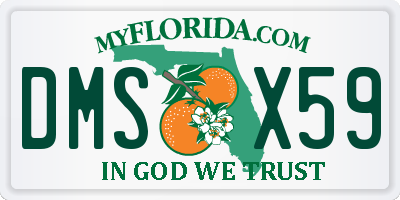FL license plate DMSX59