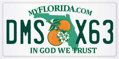 FL license plate DMSX63