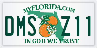 FL license plate DMSZ11