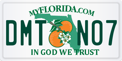FL license plate DMTN07