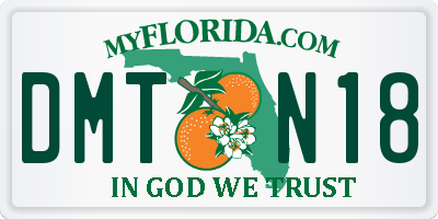 FL license plate DMTN18