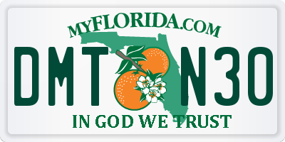 FL license plate DMTN30