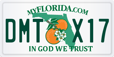 FL license plate DMTX17