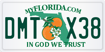 FL license plate DMTX38