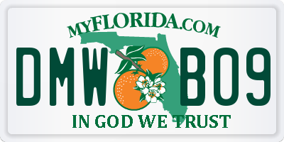 FL license plate DMWB09