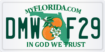 FL license plate DMWF29