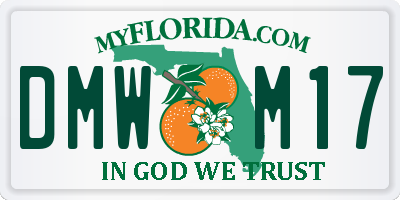 FL license plate DMWM17