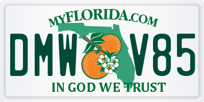 FL license plate DMWV85