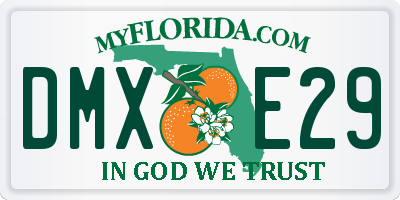 FL license plate DMXE29