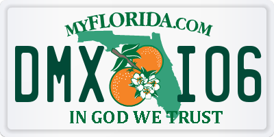 FL license plate DMXI06